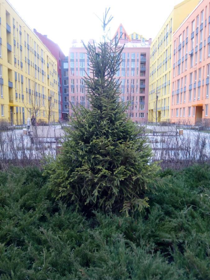Daire Excellent In A Secure Residential Complex Comfort Town кт-01 Kiev